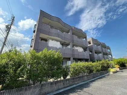 ノースフェザントの画像