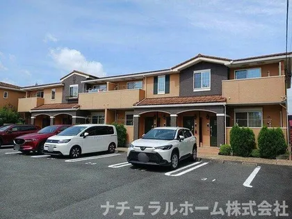M グレインIの画像