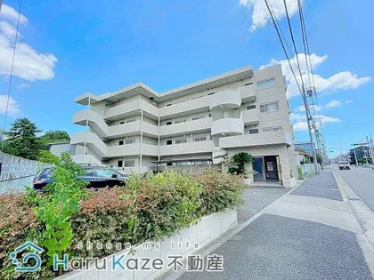 メゾン豊年の画像