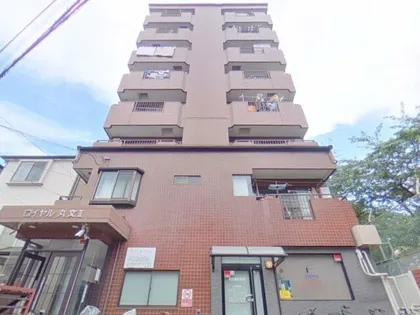 ロイヤル丸文Ⅱの画像