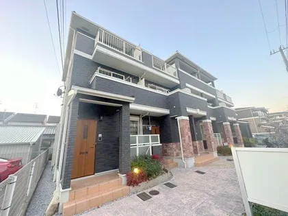 ストレリチア オーガスタの画像