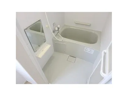 グランツ富岡【E号室】の風呂