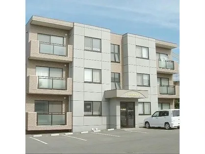 プラセール桔梗の画像