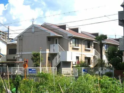 フローレスNの画像