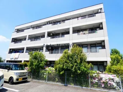 プリマヴェイラの画像