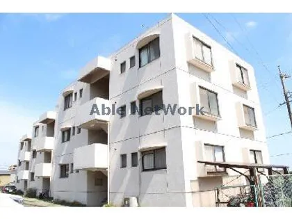 グレース磯村の画像