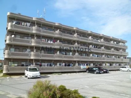 サマーブリーズIIの画像