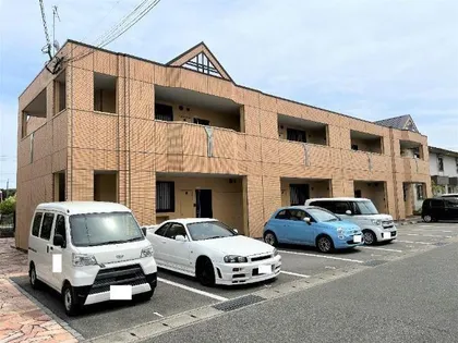 サンフラッシュの画像