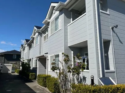 モア シャルマンの画像