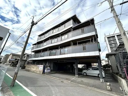 ターニップ小芝の画像