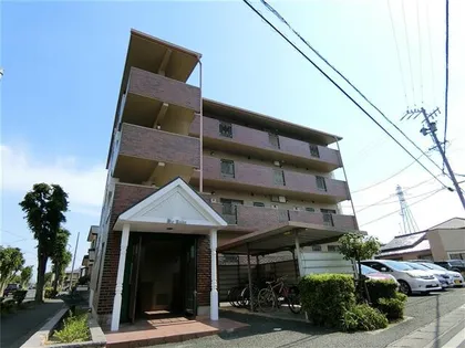ディルーエの画像