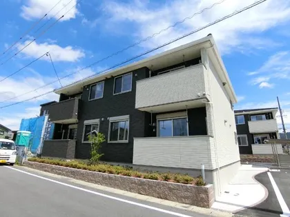 ルタンミズタケBの画像