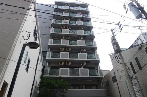 シー ロアーの画像