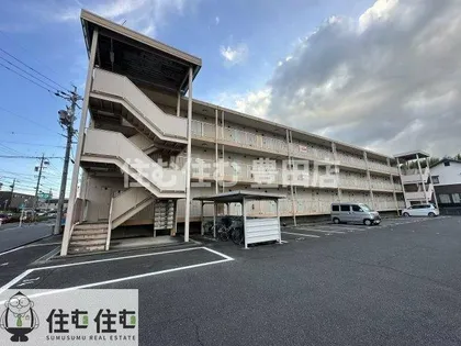 ベルメゾン錦の画像