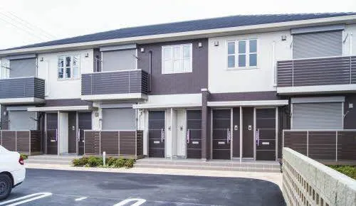 オリーブの画像