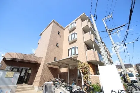 エスペランサ藤井の画像