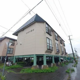 シャンティ清水の画像