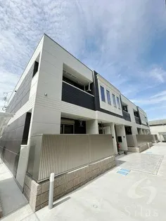 MSDISON SEEDの画像