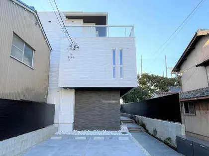 グレイス カメリアの画像