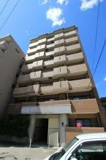 ファレノプシスの画像