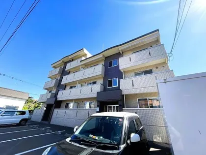 メルソン リールの画像