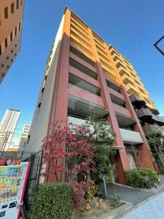 レシオ安堂寺の画像