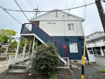 フレグランス柳の画像