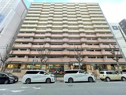 大阪府大阪市中央区島町1丁目【マンション】の外観