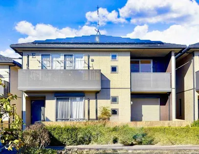 セルリアンコートの画像