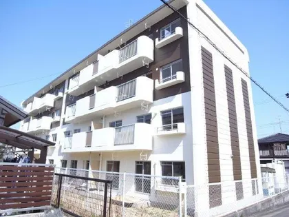 エル ブルックの画像