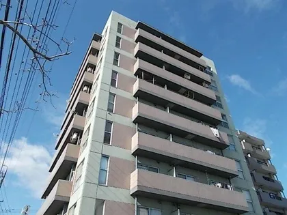 ドリームハイツエリカの画像