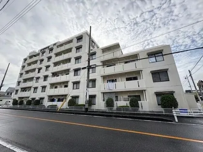 センチュリーコート緑の画像