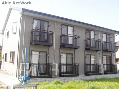 ブライトカメリアの画像