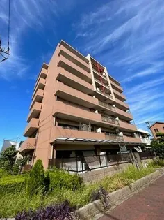 N1新森の画像