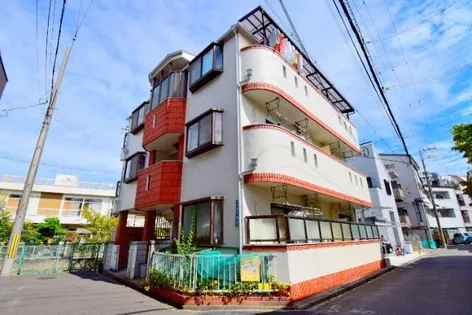 パレスシロガキの画像