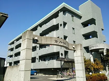 M ソレイユの画像