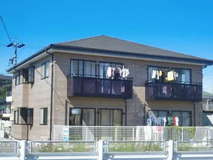 ルート カメリアの画像