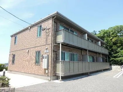 SPRINGHILLTOPの画像