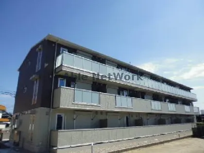 ブルームーンの画像