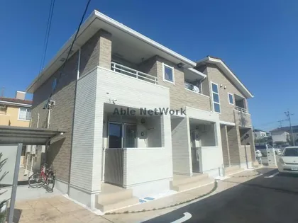 ルピナスの画像