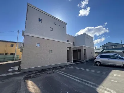 アンジェリカシードの画像