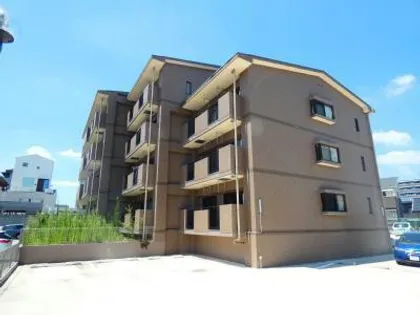 ビューラーあけぼのの画像