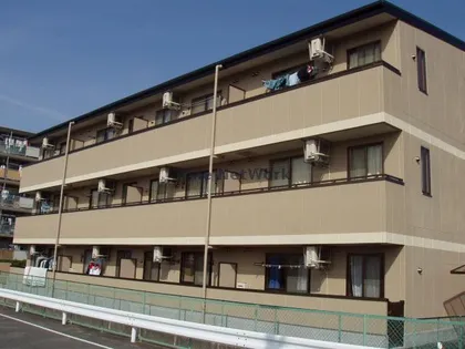 ビィシェン シュウネ バウエン八橋の画像