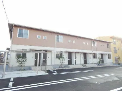 ベニコーの画像