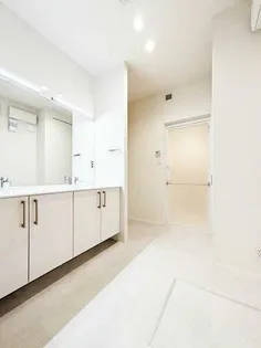 プレミアス城西【A0102号室】の内装