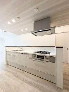 プレミアス城西【A0203号室】のキッチン