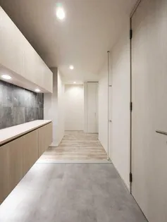 プレミアス城西【A0203号室】の玄関