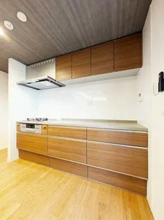 プレミアス城西【A0201号室】のキッチン