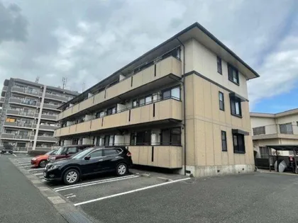 グローリー中村の画像