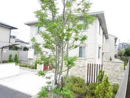 アンジュールの画像